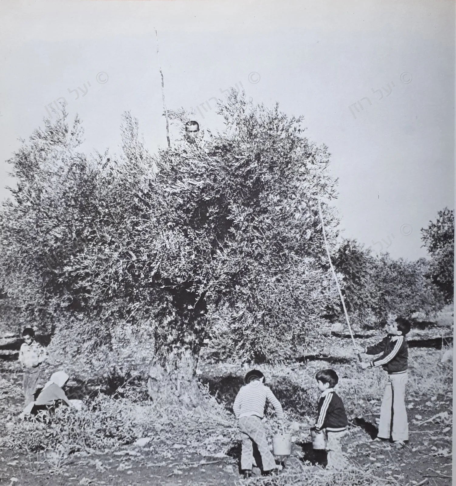 רחוב בתל אביב