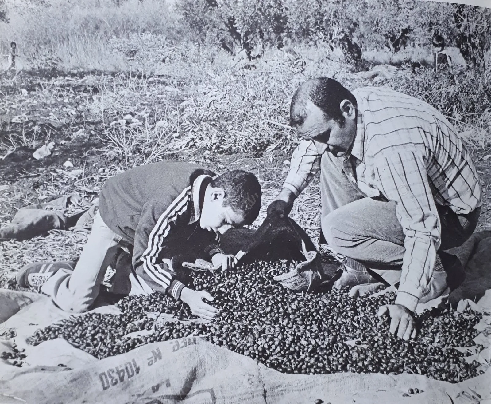 רחוב בתל אביב