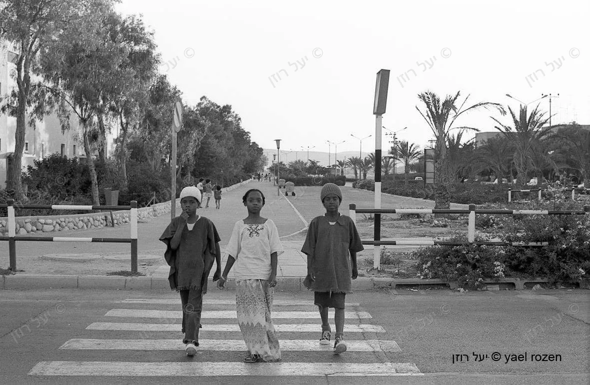 דימונה